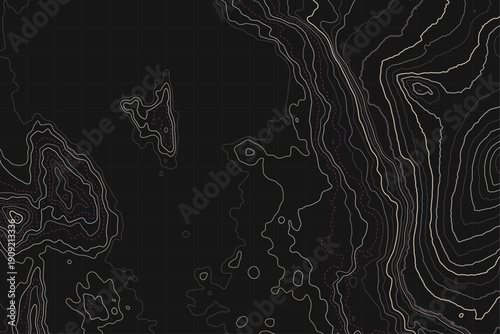 Black and Grey Abstract Topography Map Vector Pattern