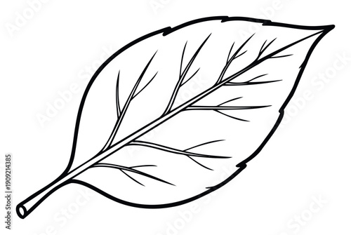 This simple outline drawing of a single leaf with prominent veins is perfect for educational materials, naturethemed projects, or ecofriendly branding applications.