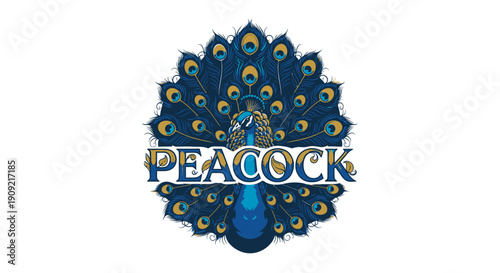 Illustration of a colorful peacock with its feathers fanned out and the word peacock.