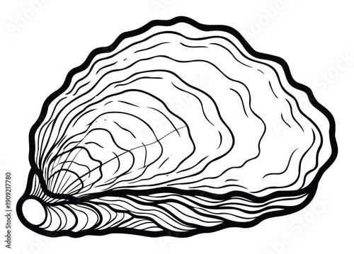 Bold black lines forming an abstract oyster shell outline perfect for seafood branding, marine biology educational materials, or coastal restaurant menu decorations