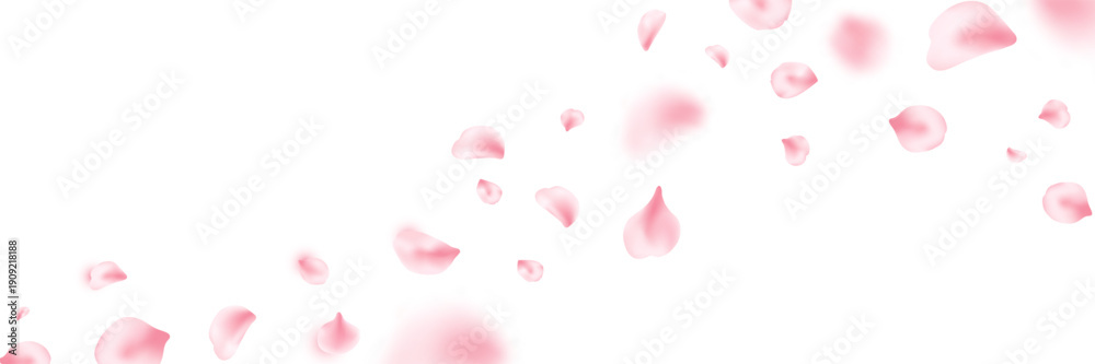 Fototapeta premium Spring cherry blossom frame. Sakura petal flying composition. Japan flower banner. Cosmetic beauty product. Natural decoration. Spa pink rose bg. Valentine romantic card. Vector illustration.