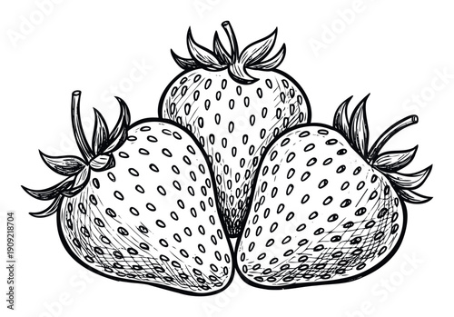 Hand drawn sketch of three fresh ripe strawberries for healthy eating recipes or organic fruit market designs and natural food product packaging
