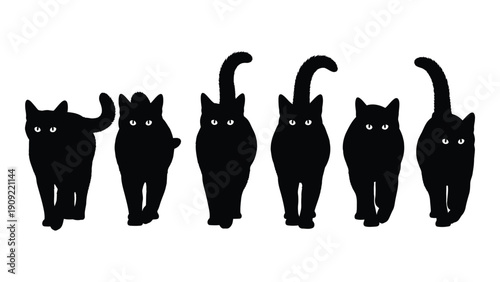 A group of black cats with different tail positions standing in a line isolated on white background, Vector