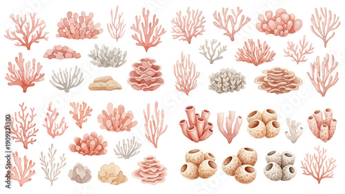 A charming watercolor collection of pastel coral illustrations, featuring reef corals, sea sponges, organic formations, and ocean-inspired tones.