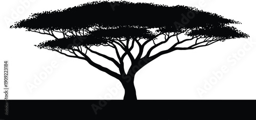 Silhouette of African acacia tree isolated on white background savanna landscape nature illustration design element for environment concept art graphic