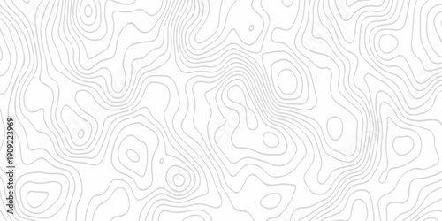 Contour abstract map relief land outline. Topographic map patterns. White wave paper curved reliefs abstract background. Background of the topography map. Abstract pattern with lines.