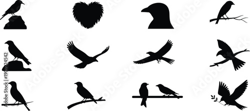 Black bird silhouettes set featuring crows ravens and sparrows in various poses flying perched on branches and sitting on rocks for nature graphic design projects