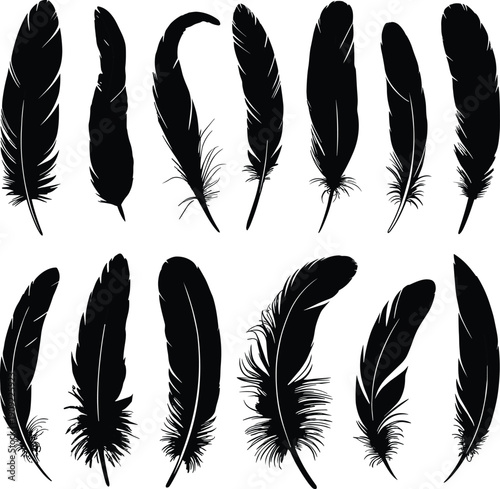 Black feather silhouette collection featuring various bird plumage shapes elegant quill icons and decorative wing elements for boho tribal nature designs and avian vector illustrations