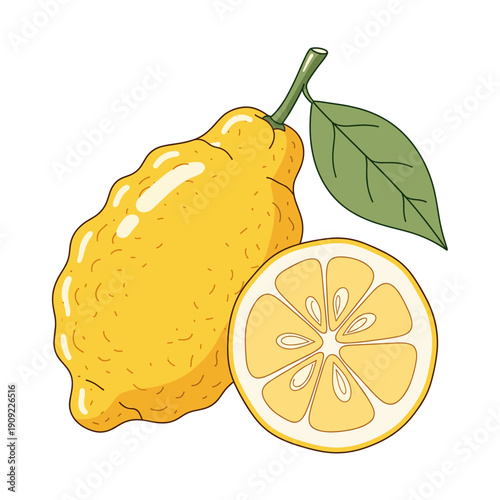 Vibrant yellow citron fruit with green leaf and round slice. Isolated transparent background ( include cut-out PNG file )
