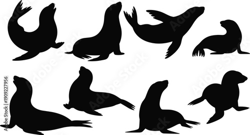 Set of Sea Lion Silhouettes Featuring Various Marine Mammals in Swimming and Lounging Poses Isolated on White Background for Aquatic Wildlife Graphic Design