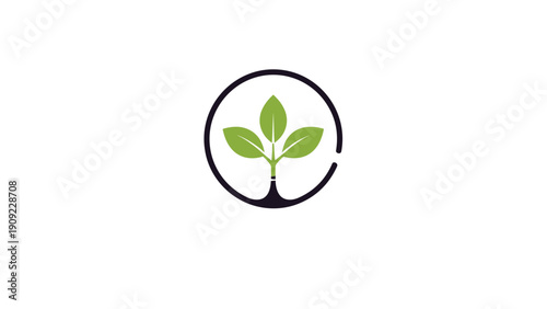 Green plant sprout growing inside a dark circle frame for environment nature and sustainable growth icons for branding.