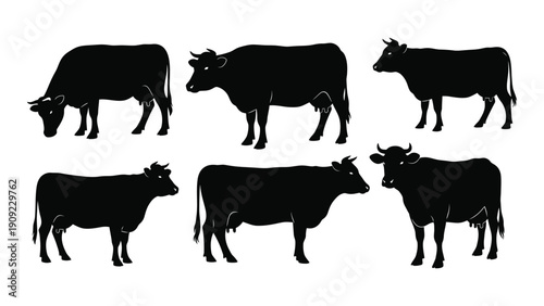 Six black silhouettes of cows in various poses against a white background isolated on white background, Vector