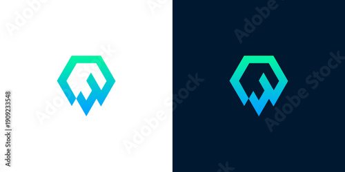 Modern abstract hexagon logo with gradient blue and green colors on white and dark backgrounds