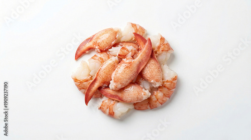 lobster meat isolated on white background
