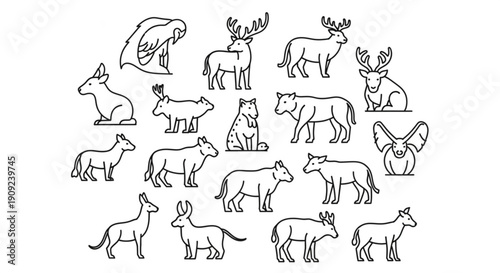 Collection of various wild animals in simple line art style including moose deer wolves bears and birds on white background