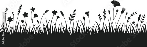 Black silhouette of wild grass and flowers against a white background nature