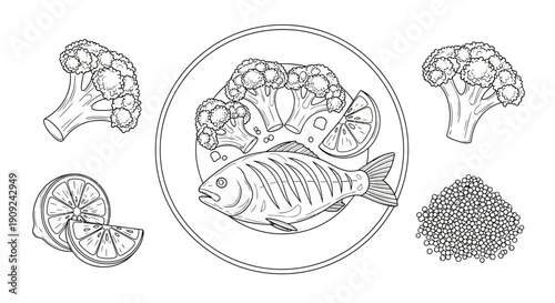 Healthy Fish Dish with Broccoli and Lemon - Line Art Illustration