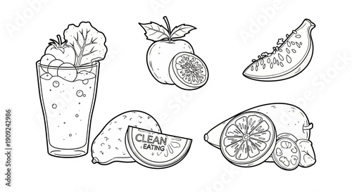 Healthy Fruit Smoothie and Fresh Ingredients Line Art Illustration
