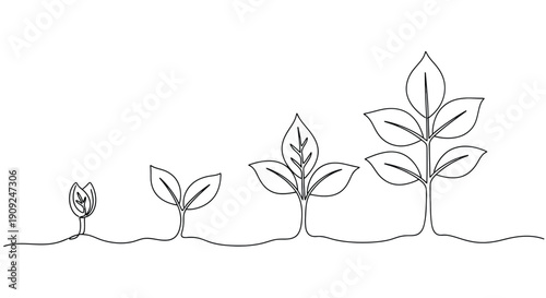Simple hand drawn sketch illustrating the stages of plant growth from a small sprout to a mature plant with upward arrows indicating progress
