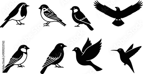 Collection of Various Bird Silhouettes and Illustrations.