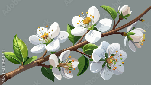 white flowers on a branch
