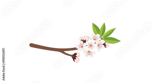 Blooming cherry blossom branch with pink flowers and green leaves on white background symbolizing spring growth and renewal