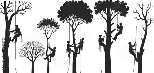 Silhouette tree climbers working at different heights, showing arborist rope techniques and tree maintenance activities in nature