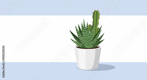 A potted cactus and succulent sit on a pastel blue surface