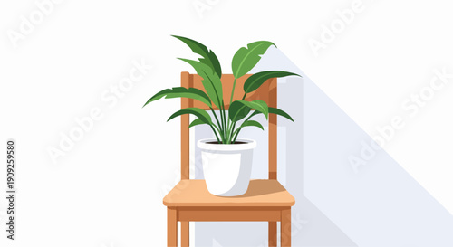 A potted plant with broad green leaves sits on a wooden chair