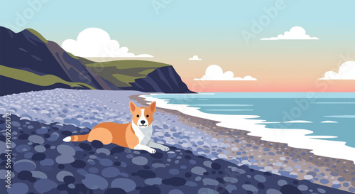 A happy corgi rests on a pebble beach with the sea and cliffs in the background