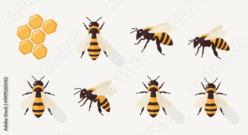 A honeycomb and six bees illustrated in a simple, flat cartoon style
