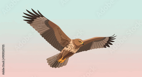 A raptor with brown and tan plumage soars gracefully across a pastel sky