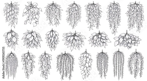 A collection of black and white images of various shapes and sizes