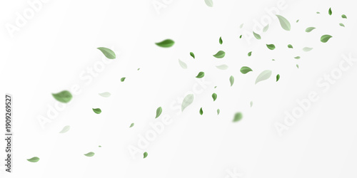 Green leaves fluttering in the air are visible against the white background.