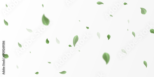 Green leaves fluttering in the air are visible against the white background.