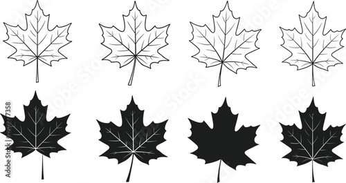 Maple Leaf Vector Illustration Set with Outline and Silhouette Icons of Canadian Autumn Foliage for Seasonal Nature Graphic Design Projects