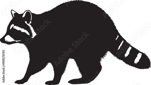 Black and white graphic illustration of a raccoon with striped tail animal wildlife