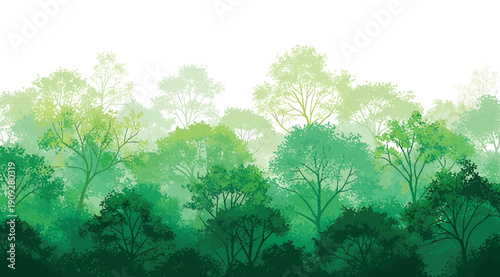 A green forest with trees in the background