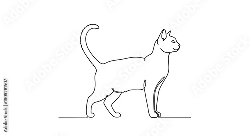 Elegant cat standing profile, single line drawing