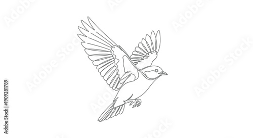 Bird Flying Line Art - Freedom and Nature Concept