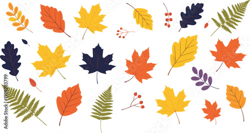 Autumn leaves collection colorful foliage vector illustration seasonal botanical design set