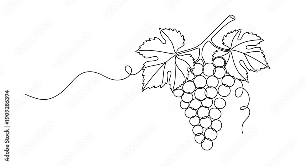 Fototapeta premium Grapes on Vine - Continuous Line Art