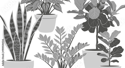 Collection of various indoor potted plants in gray scale illustration.