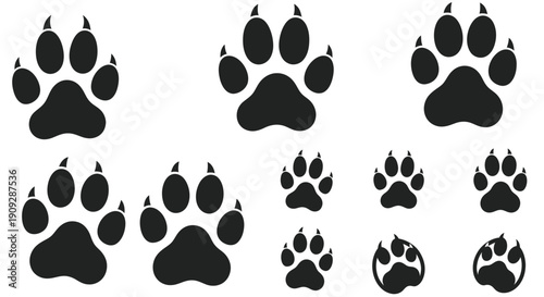 Collection of Animal Paw Prints Icons, Vector Footprints of Wild Animals, Mammal Tracks