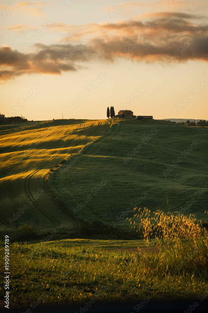 Fototapeta premium Tuscan Landscapes – Traditional Italy in the Heart of Italy