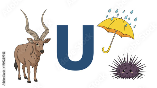 Educational alphabet poster for the letter U features an urial sheep, an umbrella in the rain, and a purple sea urchin.
