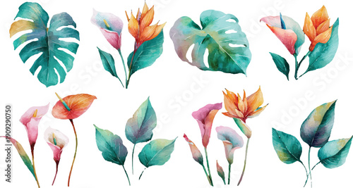 set of colorful leaves and flower