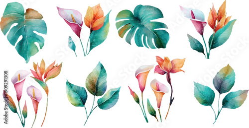 set of colorful flowers and leaves