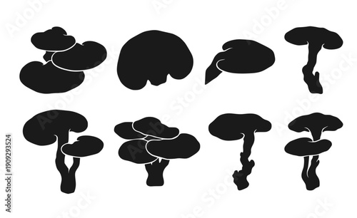 Reishi Mushroom Silhouette Set - Black Lingzhi Kidney Shape Fungi Graphics for Immunity and Wellness Isolated on White