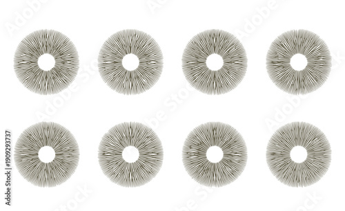 Mushroom Spore Print Silhouette Set - Black Radial Symmetry Fungi Identification Graphics Isolated on White